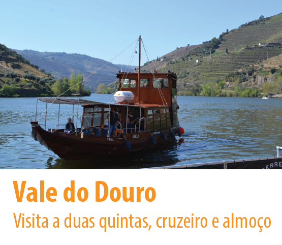 passeio excursão cidade do porto rio douro barco rebelo